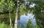 Vue sur l'eau