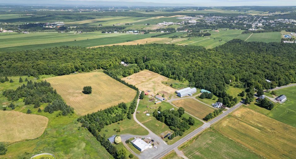 Overall View