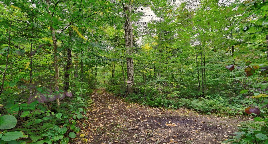 Terre/Terrain