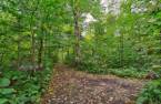 Terre/Terrain