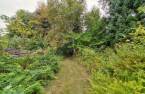 Terre/Terrain