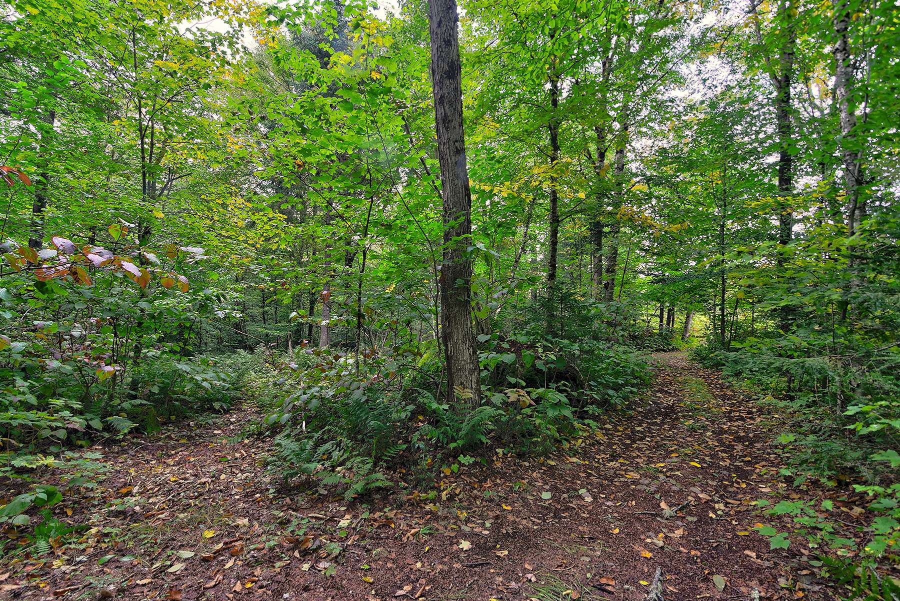 Terre/Terrain