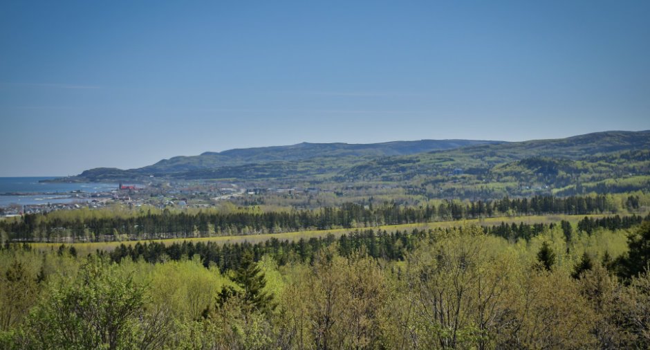 View