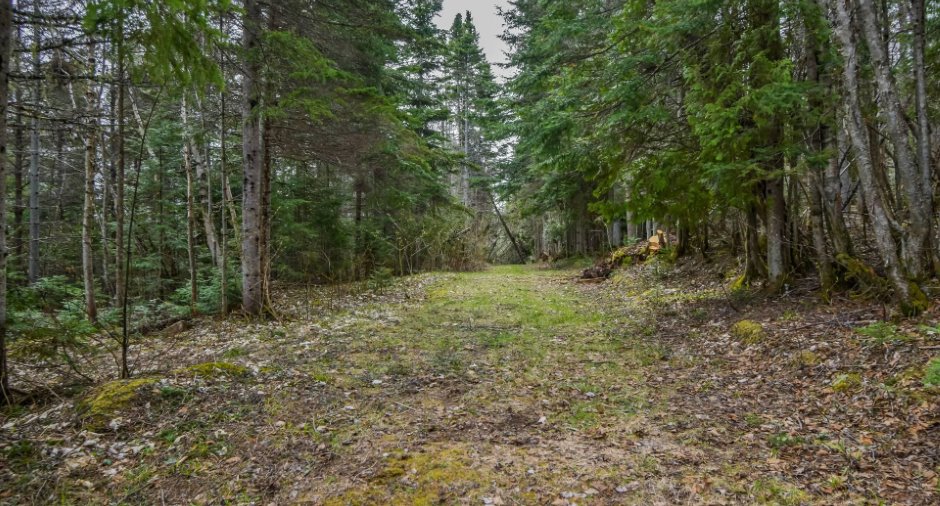 Land/Lot