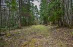 Land/Lot