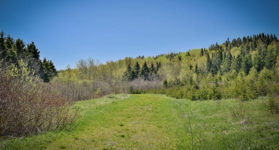 Land/Lot
