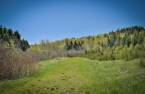 Land/Lot