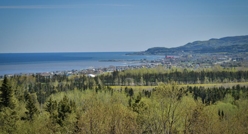 View