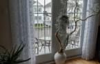 Logement