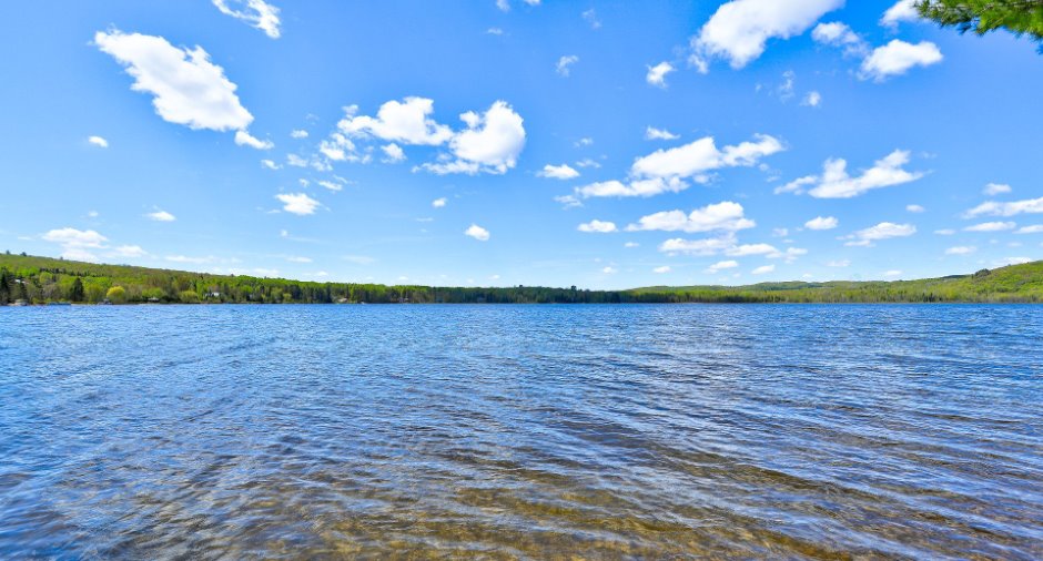 Bord de l'eau