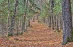 Terre/Terrain