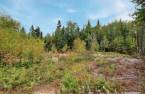 Terre/Terrain