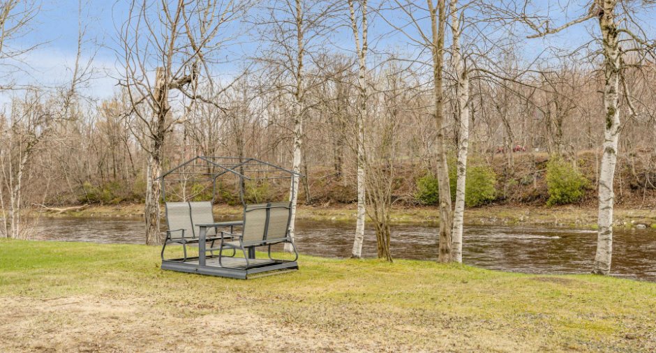 Cour