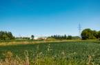 Terre/Terrain