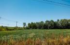 Terre/Terrain