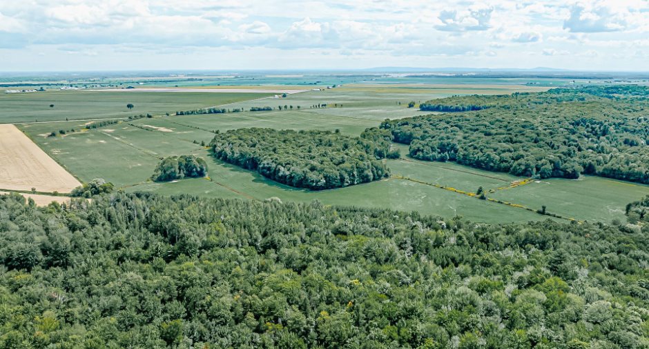 Vue d'ensemble