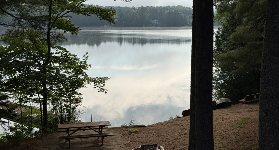 Vue sur l'eau