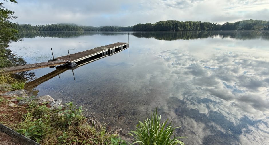 Bord de l'eau