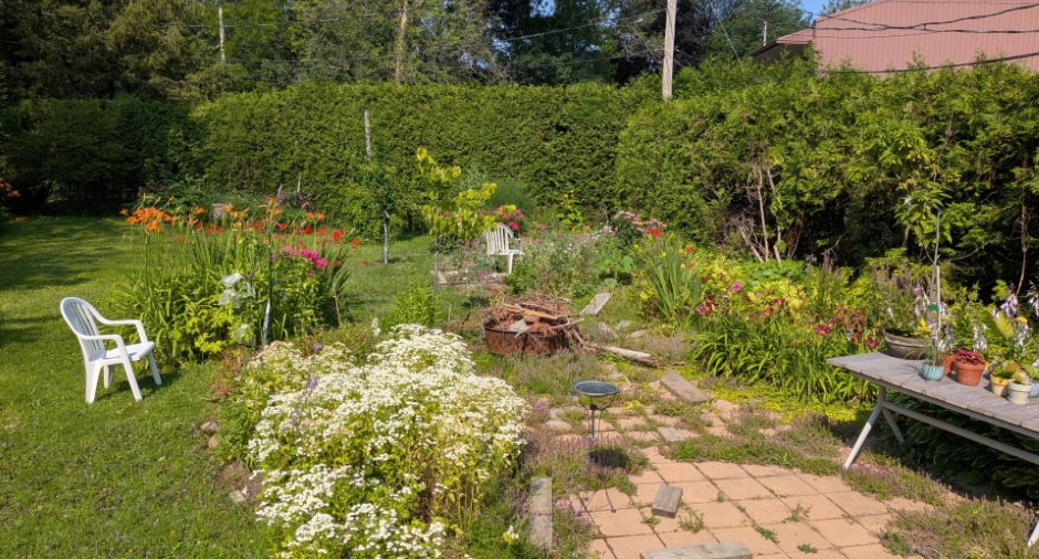 Jardin