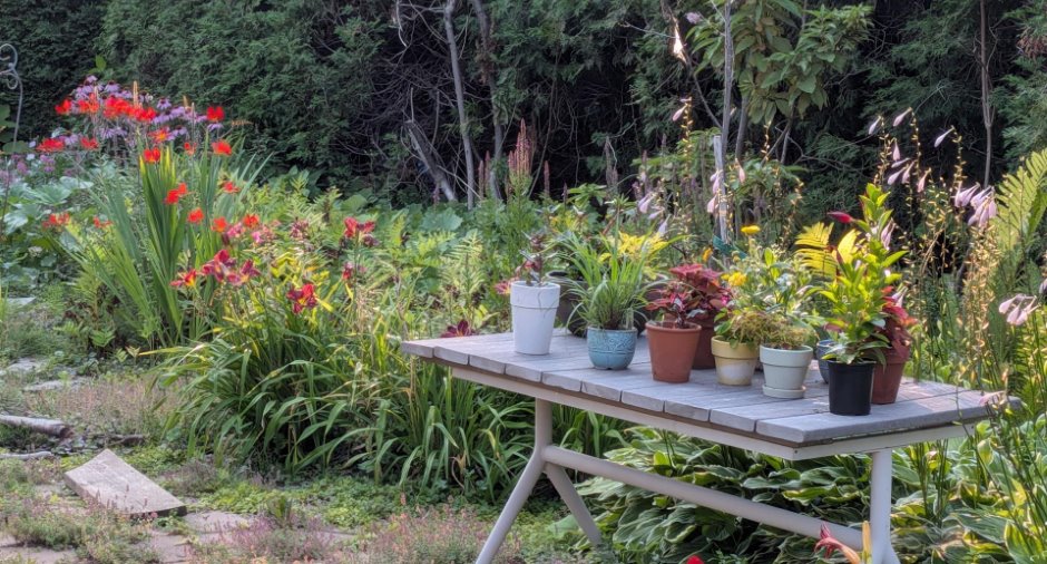 Jardin