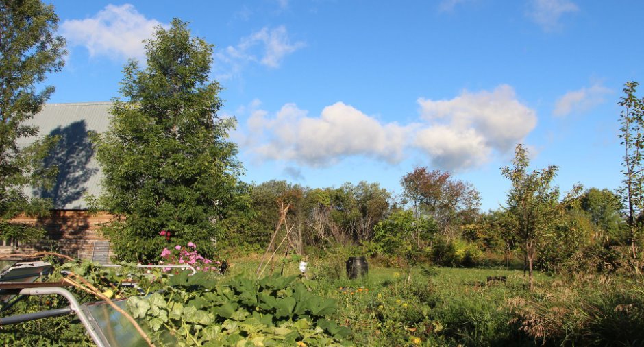 Jardin
