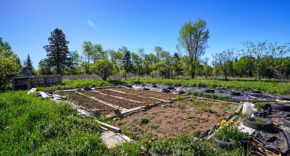 Jardin