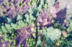 Terre/Terrain