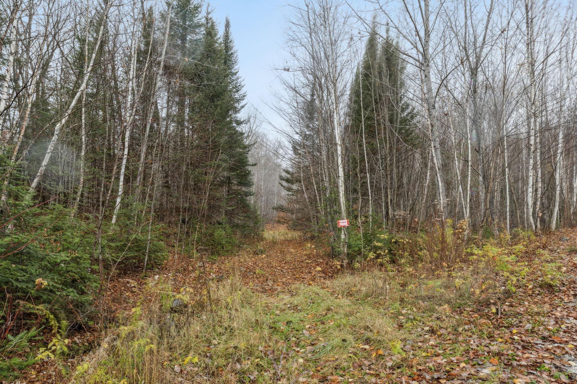 Ch. du Lac-Michel — photo 3