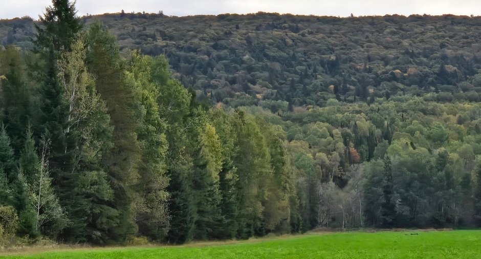 Terre/Terrain