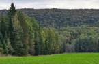 Terre/Terrain