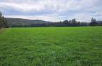Terre/Terrain