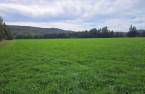 Terre/Terrain