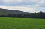 Terre/Terrain