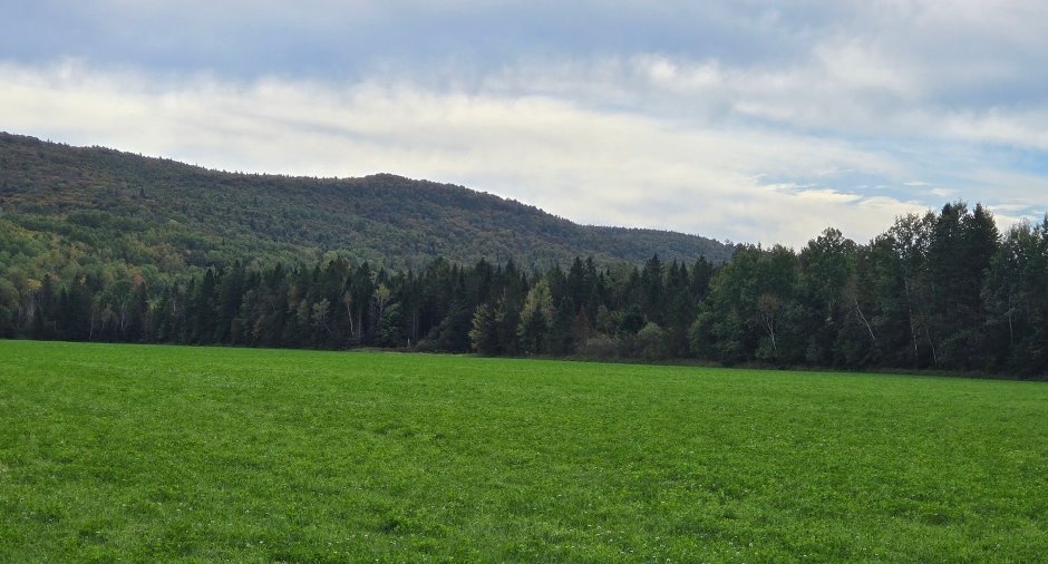 Terre/Terrain