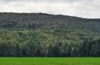 Terre/Terrain