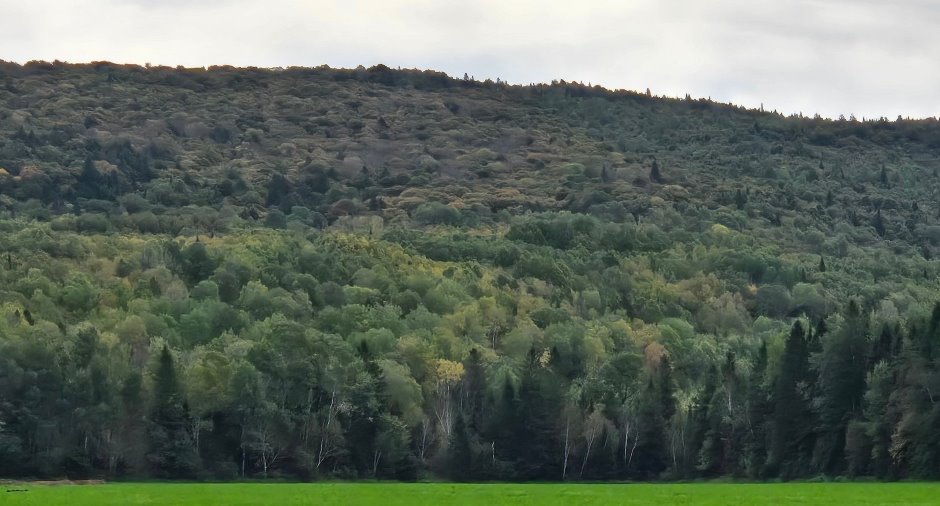Terre/Terrain