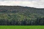 Terre/Terrain