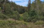 Terre à bois