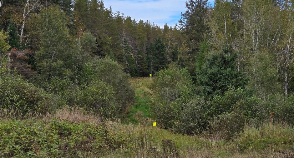 Terre à bois