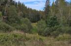 Terre à bois
