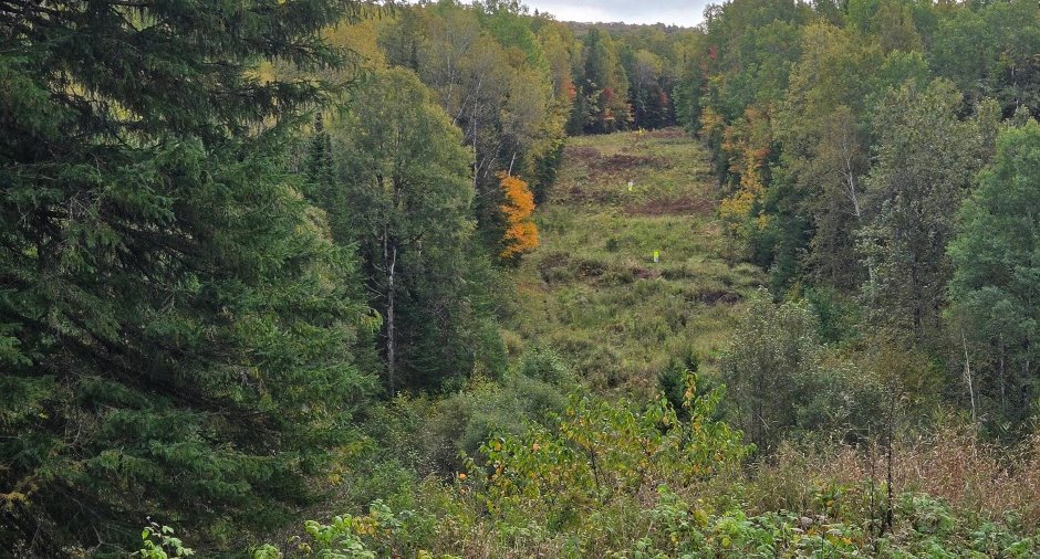 Terre à bois