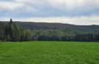 Terre/Terrain