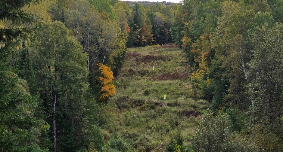 Terre à bois