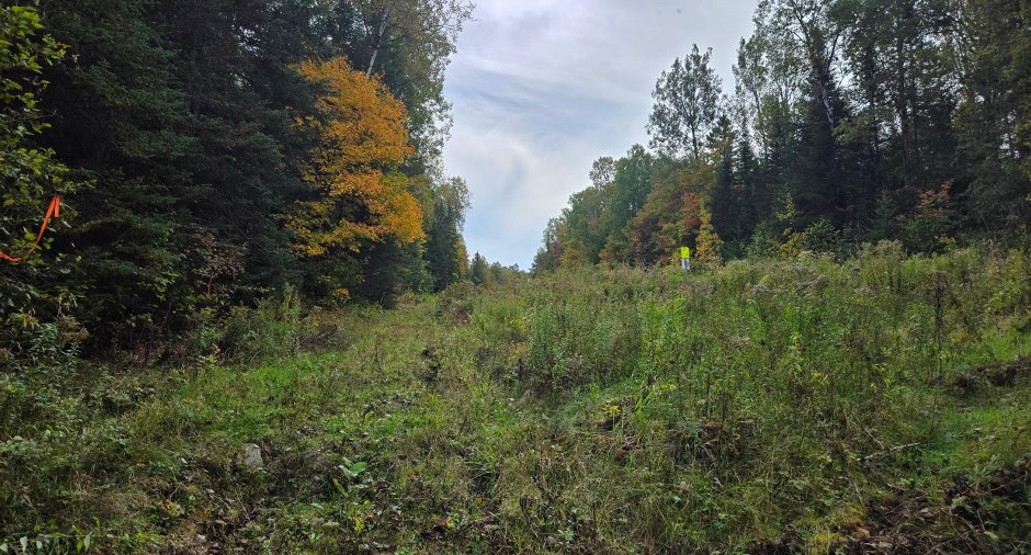 Terre à bois