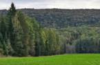 Terre/Terrain