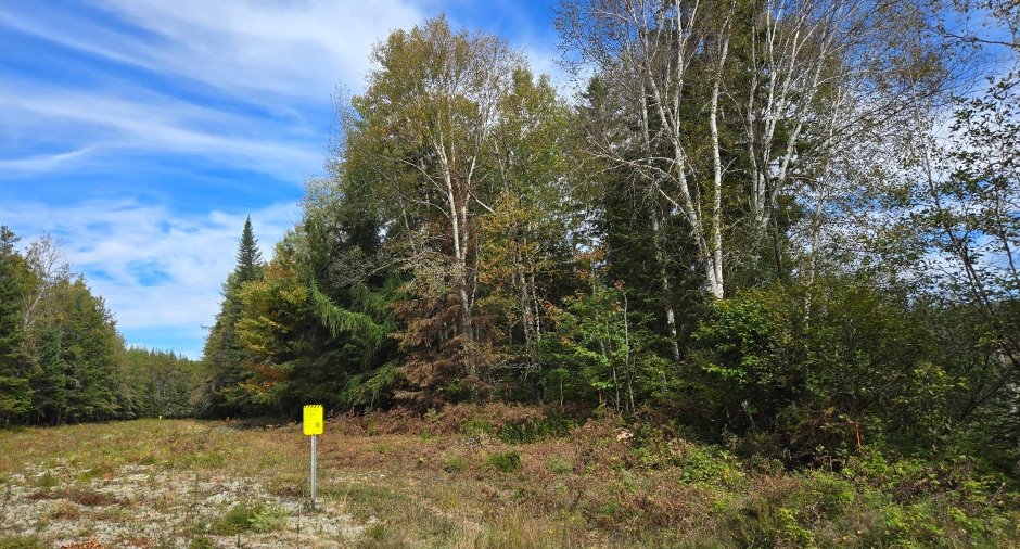 Terre à bois