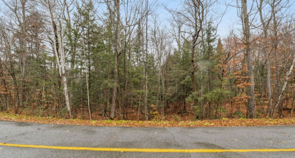 Land/Lot
