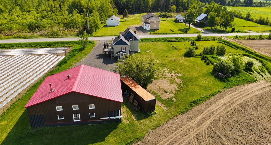 Overall View