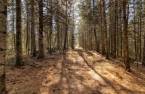 Terre/Terrain