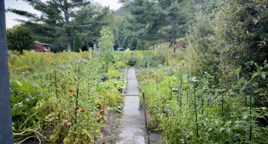 Jardin